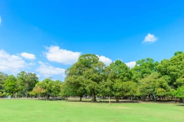 靴を履いて公園デビューを果たしたこども　「振り返ることなく前進し続ける姿」に2.3万いいね