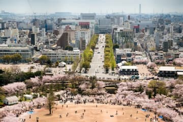 「宮城県」「千葉県」「兵庫県」のうち、世界遺産がある県はどこ？　気になる正解率は66％だった