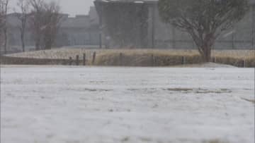 春なのに気温低下で湿った雪　強風で鉄道に影響　福島