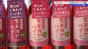 ブドウの品質にも恵まれ、良い味わいに　100％紫波町産ブドウ使用　紫あ波せワイン発表会　岩手