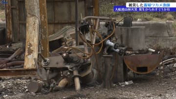 【山火事】大船渡市の山林火災から１か月　地域の基幹産業「ワカメ」への影響は？　岩手