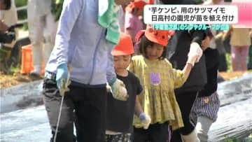 「おいもおおきくな～れ」“芋ケンピ”用のサツマイモ　高知県日高村の園児が苗を植え付け　『芋屋金次郎』のシブヤグループが企画