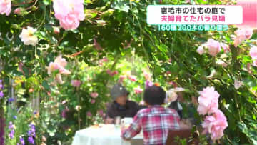 住宅街に漂う甘い香り　高知県宿毛市の住宅の庭で200本のバラが満開