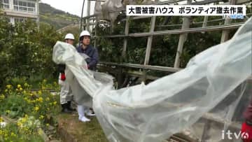 大雪で被災したかんきつ農業用ハウス ボランティアで撤去