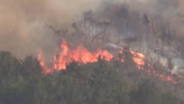 「早く収まって」愛媛今治での山火事、焼損面積は約128ヘクタールに拡大 自衛隊などヘリ4機が上空から消火活動中 愛媛