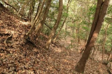 戦国の山城を攻める！　大勢力のはざまで揺れた小豪族の宿命「松山城・前編」 ミステリアスな地形＆遺構