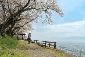 「“短かすぎる”けど絶景！」 見頃のお花見スポットをつなぐ、アルプス展望ハイキングルート【松本市】