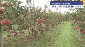 純情産地いわて　園芸産地激励会【岩手】