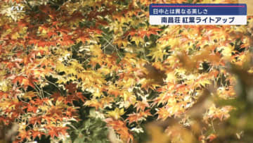 盛岡市の保護庭園「南昌荘」の紅葉ライトアップ始まる【岩手・盛岡市】