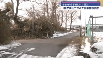 クマの目撃相次ぐ【岩手・花巻市】