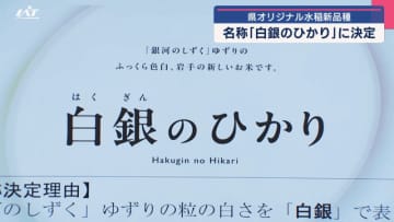 県オリジナル米の新品種　岩手１４１号のブランド名は「白銀のひかり」【岩手】