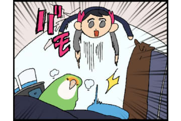 【鳥マンガ＃16】女帝インコが甘えてきた！？ かわいいけど厄介な鳥の抜けた羽問題