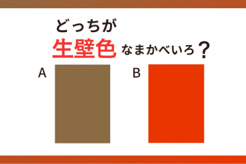 【クイズ】どっちの色が「生壁色（なまかべいろ）」？