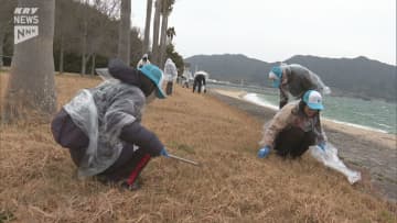 楽しくごみ拾いして海岸をきれいに！柳井市で海岸清掃イベント