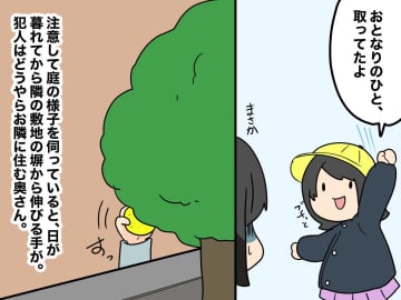 ＜庭の柚子がごっそり減ってる？！＞かんきつ泥棒は『お隣さん』だった → 斜め上の言い訳に「えぇっ」