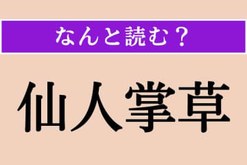 【難読漢字】「仙人掌草」正しい読み方は？ サボテン科の多年草で「◯◯ズ◯ラ」です