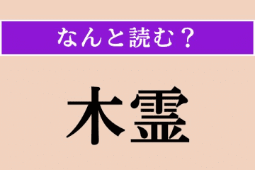 【難読漢字】「木霊」正しい読み方は？ 樹木に宿る精霊のことです