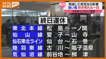 強風にあおられて転倒や倒木…風が強い一日の宮城、JR在来線の一部で”終日運転見合わせ”