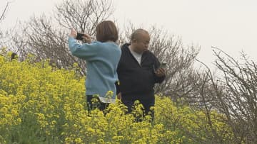 愛媛県内は春本番の暖かさ 菜の花の名所・双海町「犬寄峠の黄色い丘」賑わう