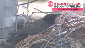 原因は「カラスの巣」　12日に東京と神奈川で約7800軒が停電　巣作りの材料が“電線に接触”