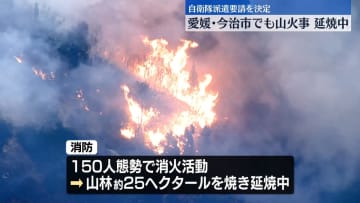 愛媛・今治市で山火事、延焼中　自衛隊派遣要請を決定