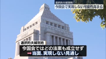 選択的夫婦別姓　今国会で実現しない可能性高まる　自民、独自法案の提出見送る方針