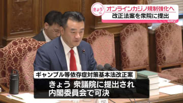 オンラインカジノ規制強化へ　法律の改正案が衆院提出　誘導するサイトなどの削除促進へ