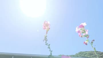 『この夏よう切り抜けるろうか』四万十市で35.6℃ 県内2日連続の猛暑日【高知】