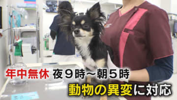 福岡夜間救急動物病院 九州で唯一年中無休で朝5時まで　目の前の命に真摯に向き合う獣医師たち 決断迫られる場面も…