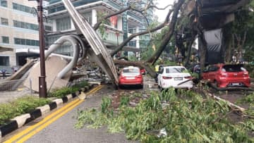 大木が道路に倒れ車17台が下敷き1人死亡　日系企業入居のオフィスビル敷地内で　マレーシア・クアラルンプール
