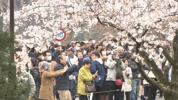 「乾通り」春の一般公開は3月29日から…毎年恒例の「皇居の通り抜け」