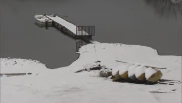 山梨・富士河口湖町で20cm超の積雪…3月としては7年ぶり　雪の影響とみられる倒木相次ぐ