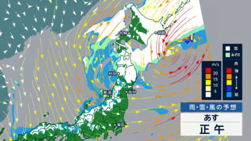 北日本の太平洋側では17日にかけて大雪・強風のおそれ　交通障害や猛吹雪に注意