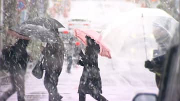 【解説】東京都心“予想外の積雪”で雹も観測！今週末から来週にかけて一転“桜が開花する”春の暖かさに