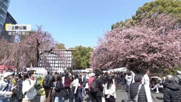 全国各地で初夏の陽気に！桜の開花発表とはならずも都内では花見を楽しむ多くの人々　三重では名産「春ブリ」に舌鼓