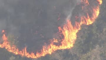 「山火事が最近多いな…」岡山市と愛媛・今治市で山林火災　一部住民に避難指示も　一夜明けても延焼続く