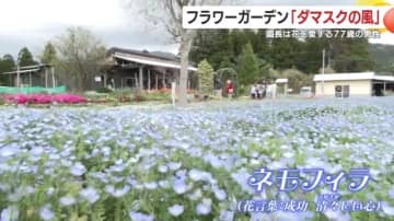 「絶対に薬はかけない」　無農薬の園芸貫く園長が育てる花々で人々を癒やし続けるフラワーガーデン「ダマスクの風」が人気　　鹿児島・鹿屋市