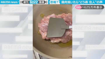 投稿者「鶏肉から“どう森の住人”みたいな声」←料理中の動画が、SNSで1600万件表示！「想像よりどうぶつの森で笑った」「ピクミンにも聞こえる」