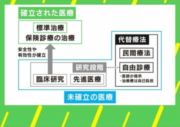 がん自由診療の再生医療 審査する委員会「がんの専門家はメンバーにいない」国の制度に問題は？「標準治療」との違いは？ 勝俣範之医師に聞く