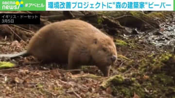 環境改善プロジェクトに“ビーバー” 野生に戻す計画検討も農家らが懸念 イギリス