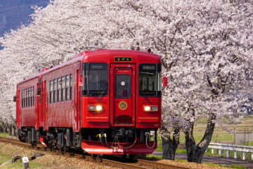 岐阜ローカル鉄道でお花見～明知鉄道・樽見鉄道・長良川鉄道・養老鉄道のおすすめスポット！