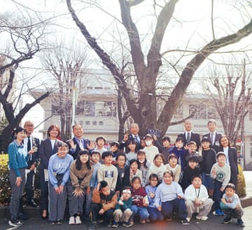 桜の標本木が代替わり 伐採に伴い新しく認定　相模原市中央区