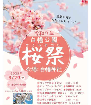 白幡神社で桜祭り 29日　お楽しみ抽選会も　横浜市鶴見区