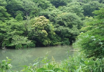 おおくす芦名堰の森 保存活用へ３者連携協定 自然観察会や環境学習も　横須賀市・三浦市