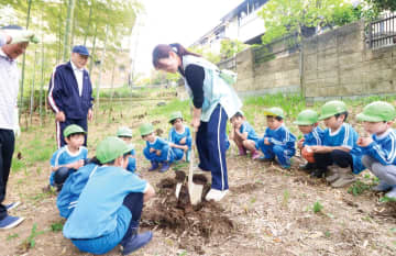 しらかば幼稚園 春の味覚で自然にふれ 恒例のたけのこ掘り　横浜市戸塚区・横浜市泉区
