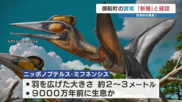 「大きな一歩」熊本で発見 “新属・新種の翼竜”　研究チームが『ニッポノプテルス・ミフネンシス』と命名