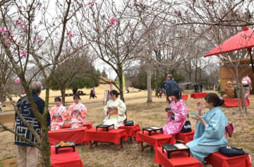 着物でお茶ツアー　古河桃まつり開幕　茨城