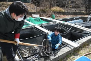 大船渡山林火災で養殖魚研究に打撃　試験池停電､飼育7割死滅か