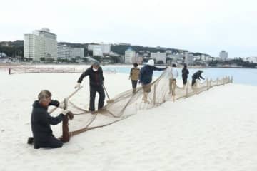 温泉街に春の訪れ　防砂ネット撤去、和歌山県白良浜