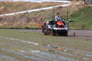 青々と水田に春　宮崎県南、田植え本格化